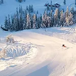 Skarveglott In Out *