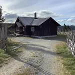 Vakantiehuis Skarveglott In Out Nesbyen