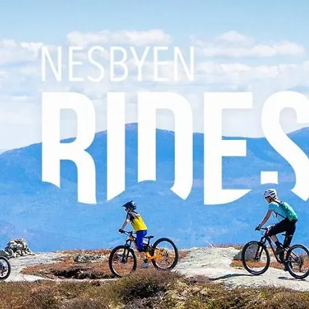 度假居 Skarveglott In Out 内斯比恩