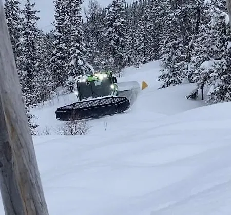 度假居 Skarveglott In Out