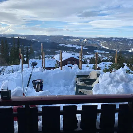 Skarveglott In Out 内斯比恩