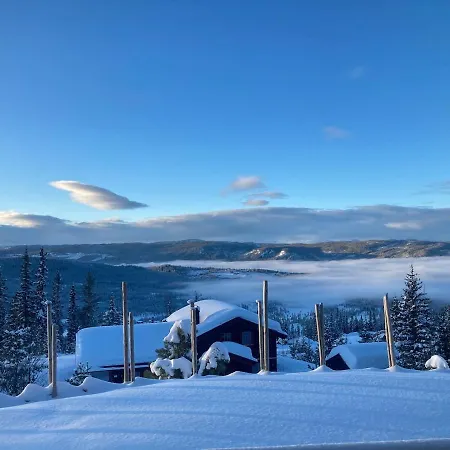 Skarveglott In Out 度假居 *