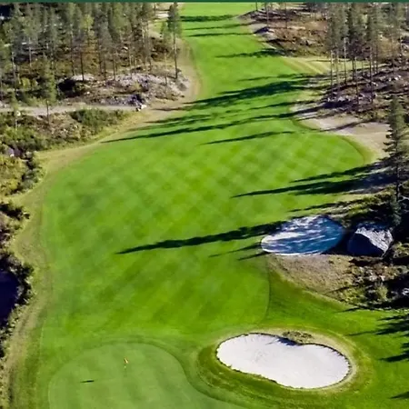 Skarveglott In Out *