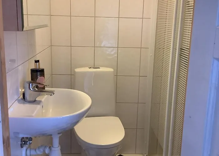 Skarveglott In Out Nesbyen