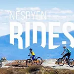 Holiday home Skarveglott In Out Nesbyen