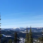 Skarveglott In Out
